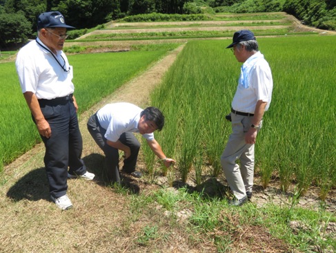 ashidani180730.JPG