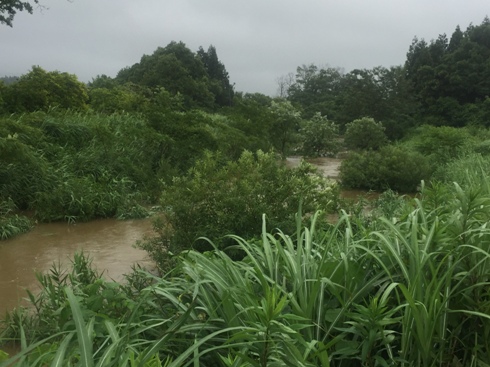 kanahara190628.JPG