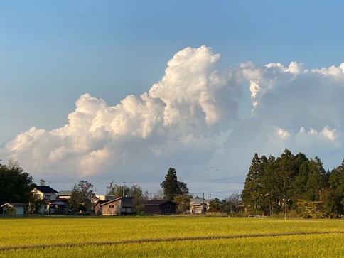 kumo201113.JPG