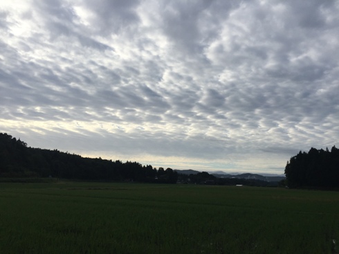 onawashiro161010.JPG