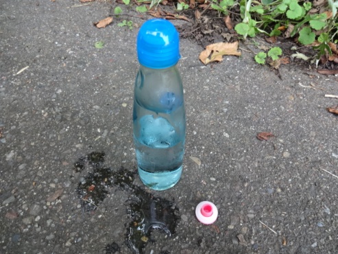 ramune130808.JPG