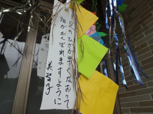 tanabata1407111.JPG