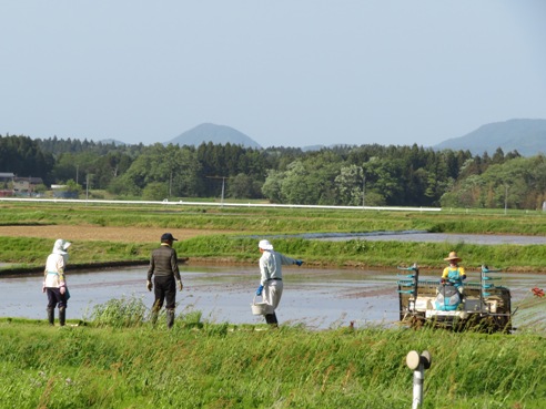 taue180505.JPG