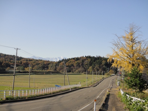 yamagata111123.JPG