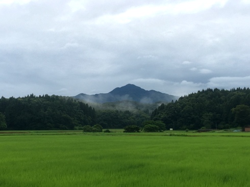 yoneyama190720.JPG