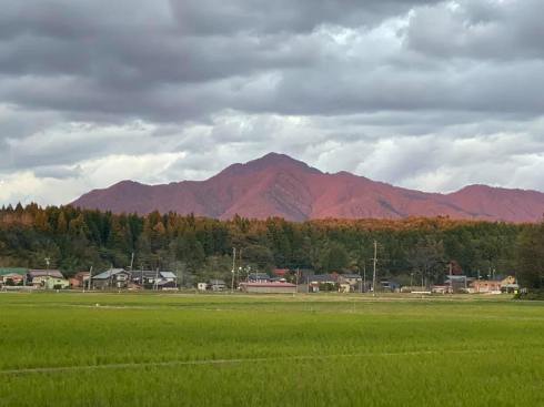 yoneyama191104.jpg